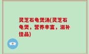 灵芝石龟煲汤(灵芝石龟煲，营养丰富，滋补佳品)