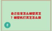 自己在家怎么破壁灵芝？破壁机打灵芝怎么做