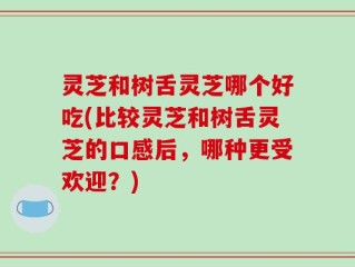 灵芝和树舌灵芝哪个好吃(比较灵芝和树舌灵芝的口感后，哪种更受欢迎？)