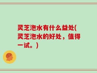 灵芝泡水有什么益处(灵芝泡水的好处，值得一试。)