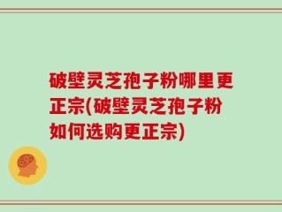 破壁灵芝孢子粉哪里更正宗(破壁灵芝孢子粉如何选购更正宗)