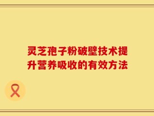 灵芝孢子粉破壁技术提升营养吸收的有效方法