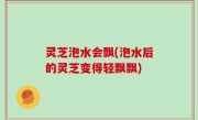 灵芝泡水会飘(泡水后的灵芝变得轻飘飘)