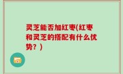灵芝能否加红枣(红枣和灵芝的搭配有什么优势？)