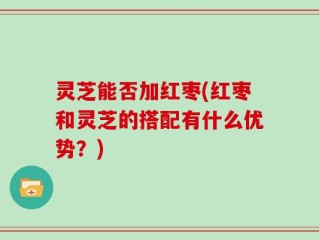 灵芝能否加红枣(红枣和灵芝的搭配有什么优势？)