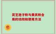 灵芝孢子粉与黄芪粉合用的功效和使用方法
