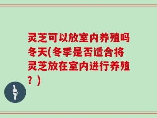灵芝可以放室内养殖吗冬天(冬季是否适合将灵芝放在室内进行养殖？)