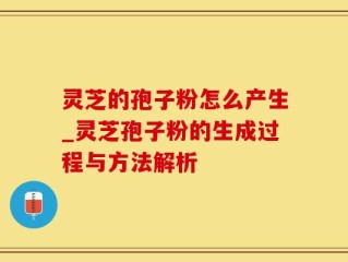 灵芝的孢子粉怎么产生_灵芝孢子粉的生成过程与方法解析