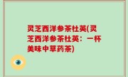 灵芝西洋参茶杜英(灵芝西洋参茶杜英：一杯美味中草药茶)