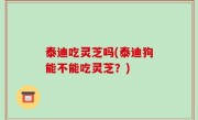 泰迪吃灵芝吗(泰迪狗能不能吃灵芝？)