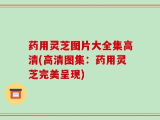 药用灵芝图片大全集高清(高清图集：药用灵芝完美呈现)