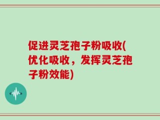 促进灵芝孢子粉吸收(优化吸收，发挥灵芝孢子粉效能)