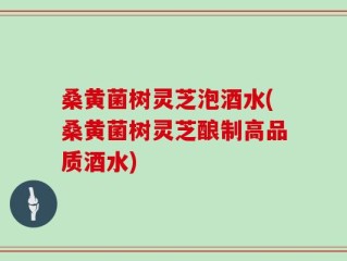 桑黄菌树灵芝泡酒水(桑黄菌树灵芝酿制高品质酒水)