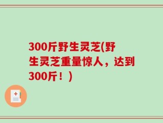 300斤野生灵芝(野生灵芝重量惊人，达到300斤！)