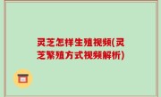 灵芝怎样生殖视频(灵芝繁殖方式视频解析)