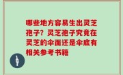 哪些地方容易生出灵芝孢子？灵芝孢子究竟在灵芝的伞面还是伞底有相关参考书籍