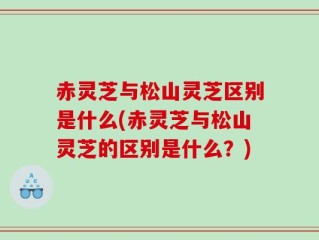 赤灵芝与松山灵芝区别是什么(赤灵芝与松山灵芝的区别是什么？)
