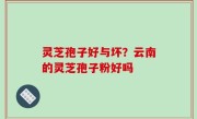 灵芝孢子好与坏？云南的灵芝孢子粉好吗