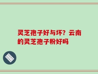 灵芝孢子好与坏？云南的灵芝孢子粉好吗