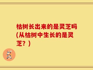 枯树长出来的是灵芝吗(从枯树中生长的是灵芝？)