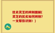 优劣灵芝的辨别图解(灵芝的优劣如何辨别？一文帮你识别！)