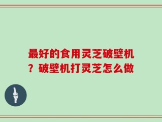 最好的食用灵芝破壁机？破壁机打灵芝怎么做