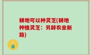 耕地可以种灵芝(耕地种植灵芝：另辟农业新路)