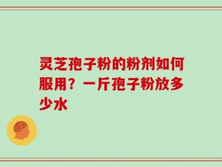 灵芝孢子粉的粉剂如何服用？一斤孢子粉放多少水
