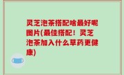 灵芝泡茶搭配啥最好呢图片(最佳搭配！灵芝泡茶加入什么草药更健康)