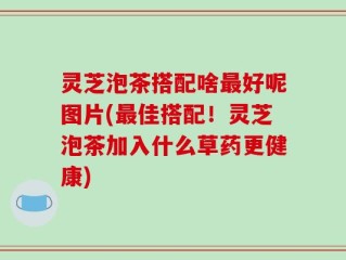 灵芝泡茶搭配啥最好呢图片(最佳搭配！灵芝泡茶加入什么草药更健康)