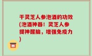 干灵芝人参泡酒的功效(泡酒神器！灵芝人参提神醒脑，增强免疫力)