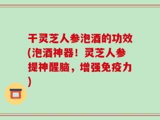 干灵芝人参泡酒的功效(泡酒神器！灵芝人参提神醒脑，增强免疫力)
