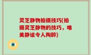 灵芝静物拍摄技巧(拍摄灵芝静物的技巧，唯美静谧令人陶醉)