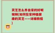 灵芝怎么养自家的好呢视频(如何在家种植健康的灵芝——详细教程)
