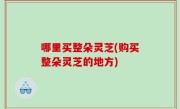 哪里买整朵灵芝(购买整朵灵芝的地方)