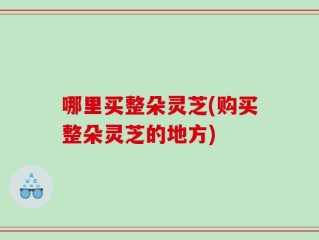 哪里买整朵灵芝(购买整朵灵芝的地方)