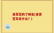 青灵芝的了别名(青灵芝又名什么？)