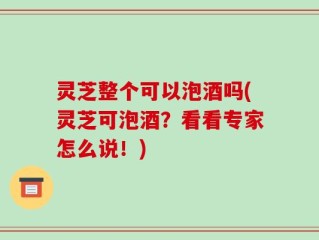 灵芝整个可以泡酒吗(灵芝可泡酒？看看专家怎么说！)