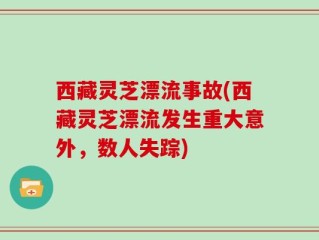 西藏灵芝漂流事故(西藏灵芝漂流发生重大意外，数人失踪)