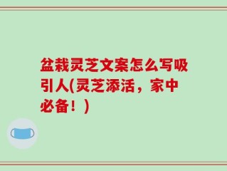 盆栽灵芝文案怎么写吸引人(灵芝添活，家中必备！)