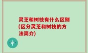 灵芝和树枝有什么区别(区分灵芝和树枝的方法简介)