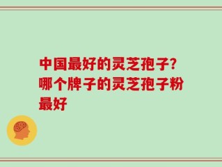 中国最好的灵芝孢子？哪个牌子的灵芝孢子粉最好