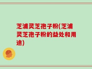 芝浦灵芝孢子粉(芝浦灵芝孢子粉的益处和用途)