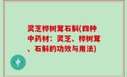 灵芝桦树茸石斛(四种中药材：灵芝、桦树茸、石斛的功效与用法)