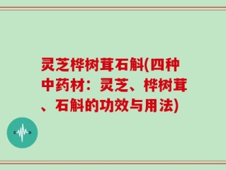 灵芝桦树茸石斛(四种中药材：灵芝、桦树茸、石斛的功效与用法)