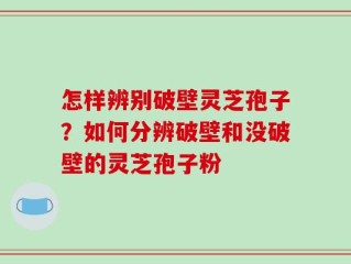 怎样辨别破壁灵芝孢子？如何分辨破壁和没破壁的灵芝孢子粉