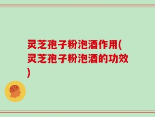 灵芝孢子粉泡酒作用(灵芝孢子粉泡酒的功效)