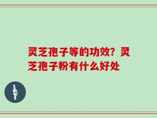 灵芝孢子等的功效？灵芝孢子粉有什么好处