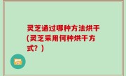 灵芝通过哪种方法烘干(灵芝采用何种烘干方式？)