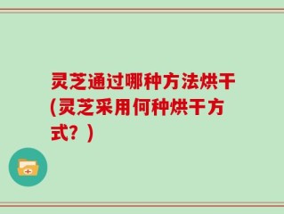 灵芝通过哪种方法烘干(灵芝采用何种烘干方式？)